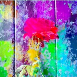 Meet your Posher, Adrianna